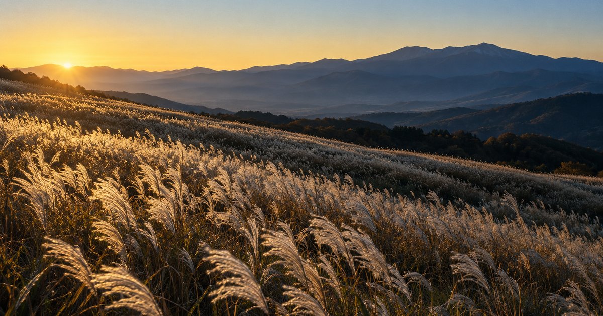 斜面一面に広がるススキの穂が光を受けて輝き、その向こうに山並みと、地平線の近くの太陽が見える秋の風景